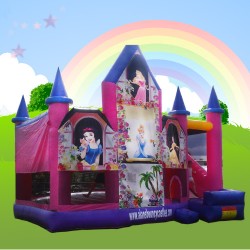 Princess combi alans bouncy castles